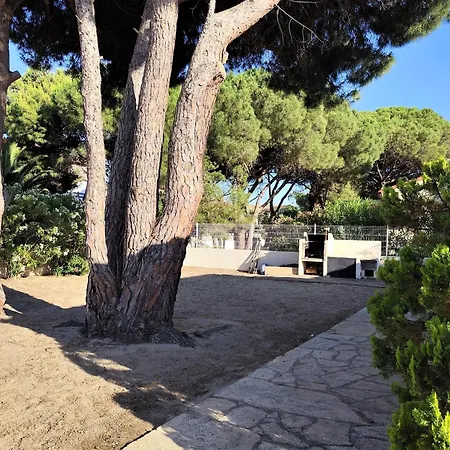 Villa Grande Villa, A Deux Pas De La Plage, Pinede Et Du Grand Village De Noel