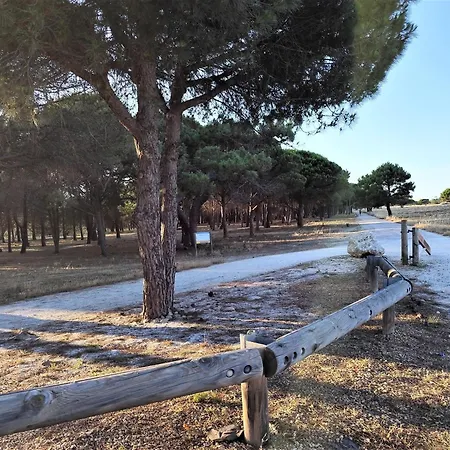 Grande Villa, A Deux Pas De La Plage, Pinede Et Du Grand Village De Noel Villa Le Barcarès