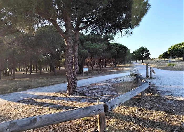 Et Jardin De Charme, à 5 Mn De La Villa Le Barcarès